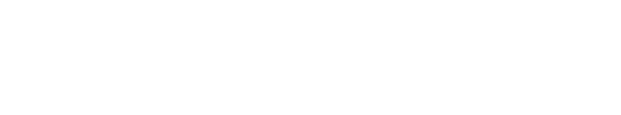 NYSDS Logo